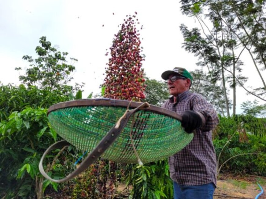 Rondônia bate recorde e se consolida como o segundo maior exportador do Norte