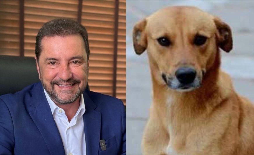Gestão Hildon Chaves sob suspeita de desvio de R$ 4 milhões destinados a atendimento veterinário
