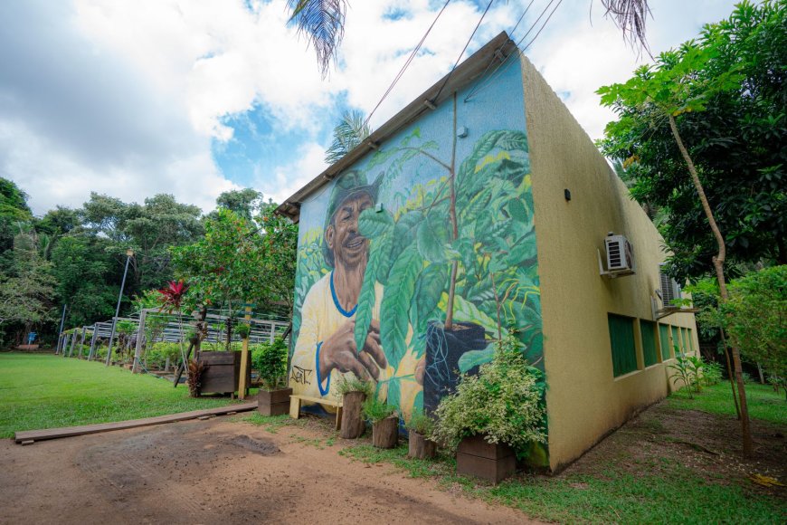 Distribuição gratuita de mudas de plantas reforça ações da Prefeitura para arborização urbana de Porto Velho