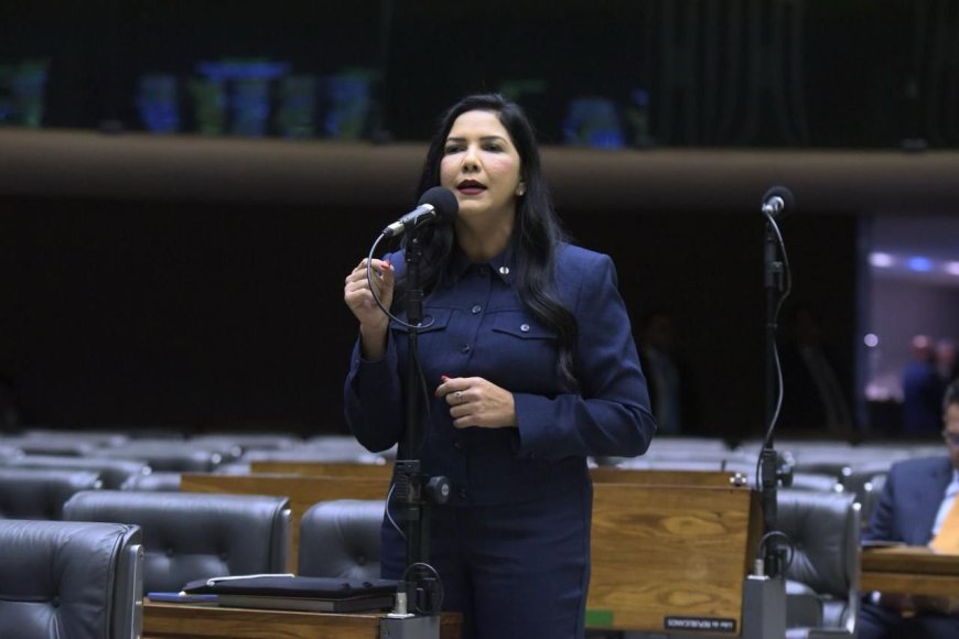 Deputada federal Cristiane Lopes vota favorável ao PL que garante mais prazo para regularizar terras em áreas de fronteira