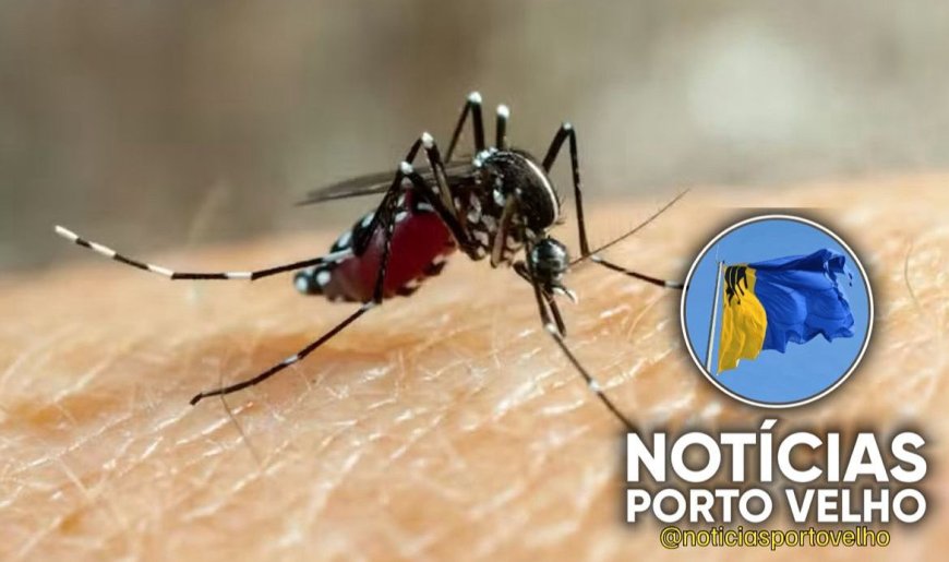 Ministério da Saúde confirma primeiras mortes por dengue e chikungunya em Rondônia em 2025