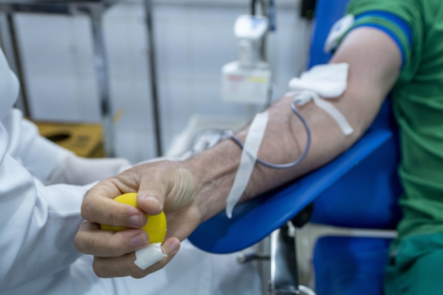 Prefeitura de Porto Velho reforça apoio à doação de sangue e homenageia doadores no Dia Mundial do Doador