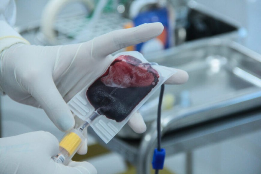Fhemeron faz alerta e convoca população para doar sangue em Porto Velho
