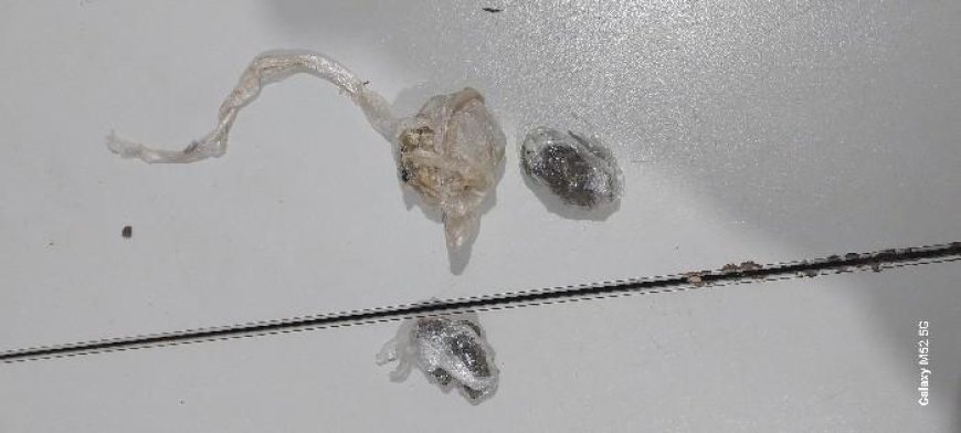 Polícia Militar apreende adolescente com 72 porções de drogas e balança no bairro Embratel