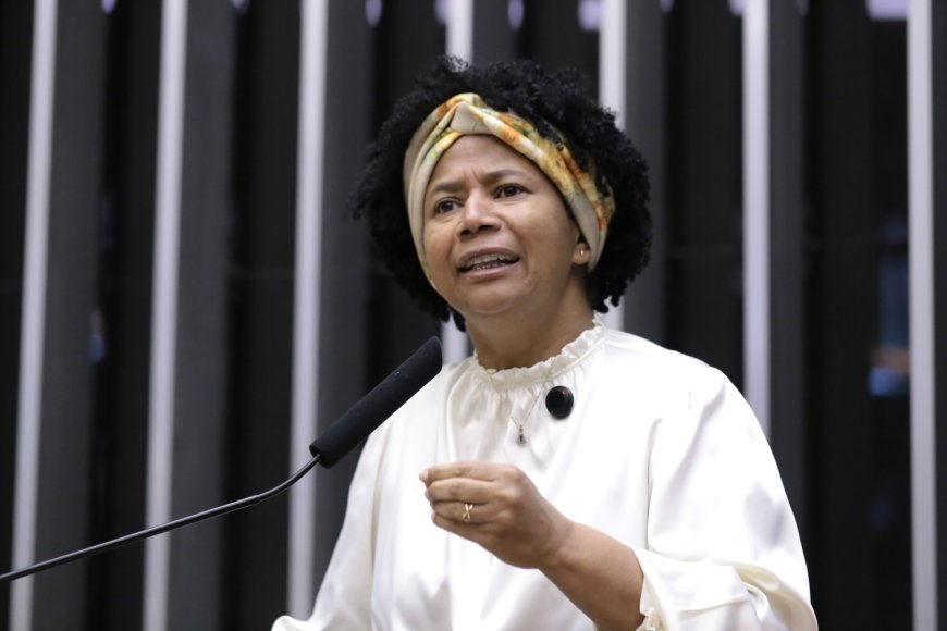 Deputada Sílvia Cristina volta a cobrar urgência na votação da PEC 47 da transposição
