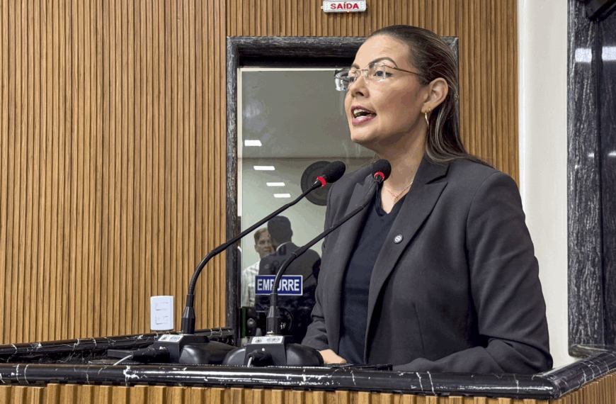 Projeto de Lei propõe mais transparência sobre aplicação de multas em Porto Velho