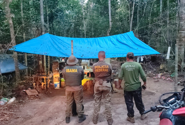 PF deflagra operação para combater invasões e danos ambientais na Terra Indígena Latundê