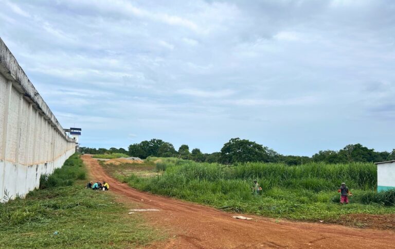 Com mão de obra reeducanda,&hellip;
