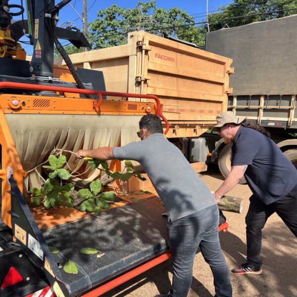 Ação integrada reaproveita 100% da poda de árvores e gera economia ao município