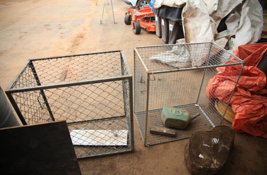 Ampliação de ecobueiros reduz alagamentos&hellip;