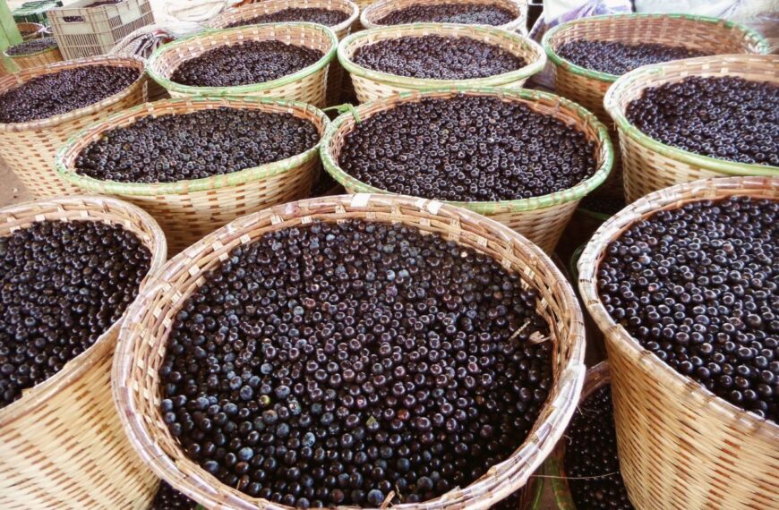 Açaí de Porto Velho é&hellip;