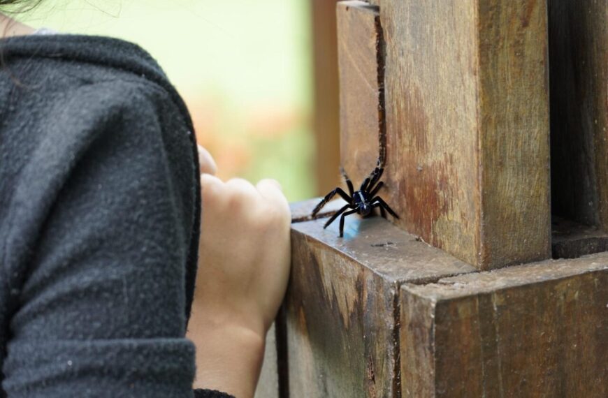 Orientações e vigilância ampliam ações&hellip;