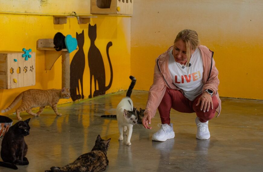 Ieda Chaves doa salário e destina mais de R$ 2,3 milhões para a causa animal em Rondônia