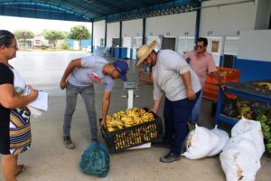 Governo de Rondônia investe na agricultura familiar através&hellip;