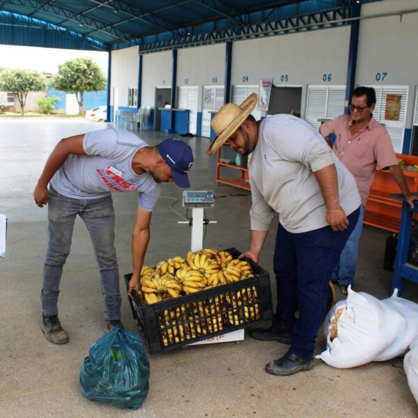 Governo de Rondônia investe na agricultura familiar através de novo edital do PAA