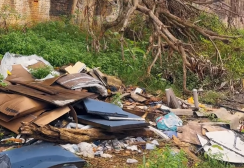 Vereador Edimilson Dourado acompanha ação&hellip;