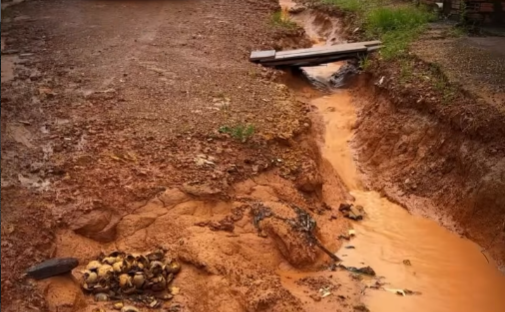 Vereador Edimilson Dourado acompanha secretário da SEINFRA no Bairro Cidade Nova e destaca avanço no asfaltamento