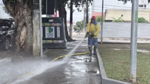 “Carnalimpeza” elimina sujeira nas ruas de Porto Velho
