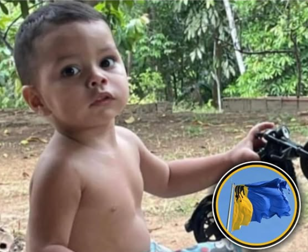 URGENTE: Força-tarefa intensifica buscas por criança desaparecida em Porto Velho