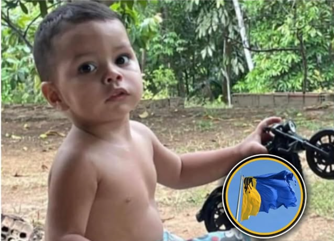 URGENTE: Força-tarefa intensifica buscas por criança desaparecida em Porto Velho