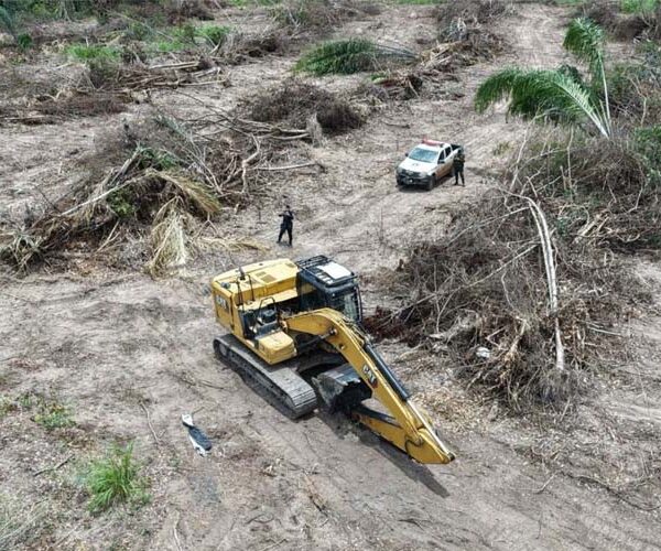 Escavadeira é apreendida pela Polícia Ambiental durante ação contra desmatamento