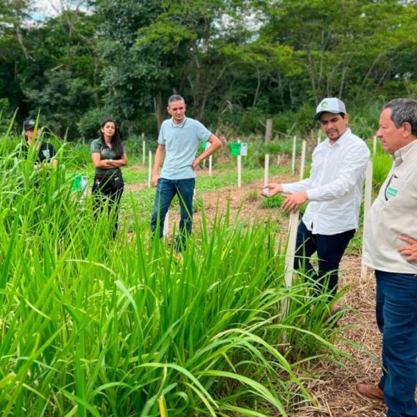 Agricultura familiar em Rondônia ganha impulso com programa que fortalece pecuária leiteira