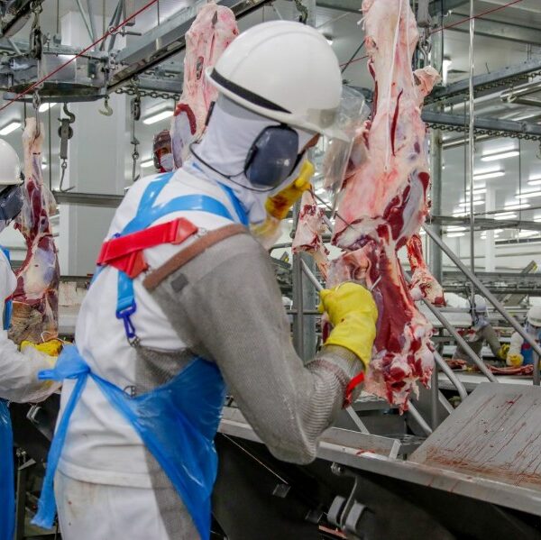 Plataforma do Governo de Rondônia oferta 2.377 vagas de emprego nesta semana