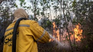 ICMBio abre processo seletivo para brigadistas em Porto&hellip;