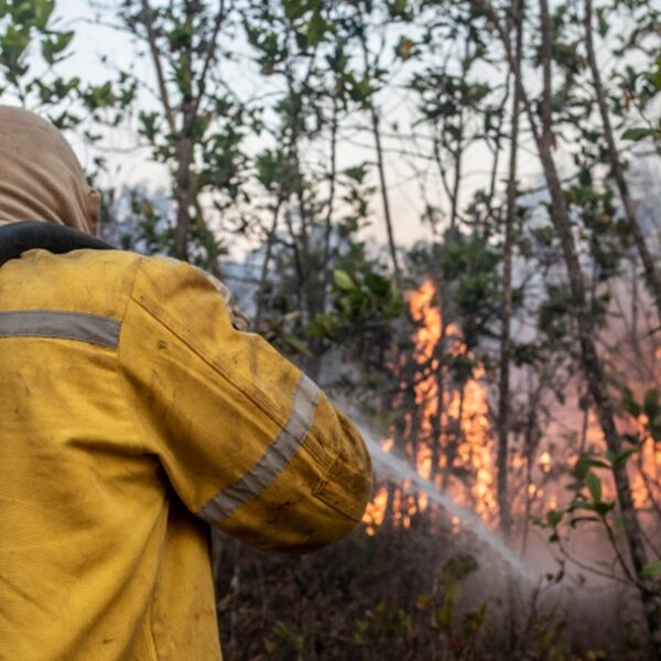 ICMBio abre processo seletivo para brigadistas em Porto Velho
