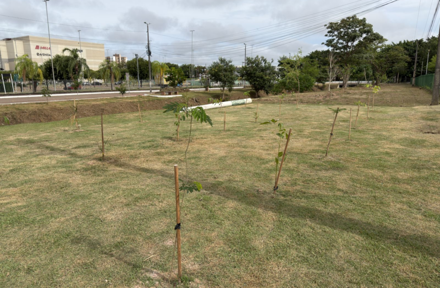 Porto Velho revitaliza áreas degradadas com a criação de microflorestas urbanas