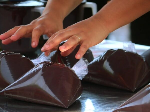 Agevisa intensifica orientações para garantir o preparo seguro do açaí em Rondônia