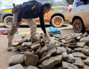 Casal é preso com 167,8 kg de skunk&hellip;