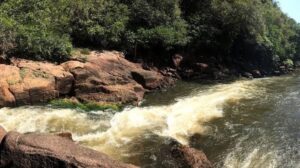 “Vem pro Parque” leva educação ambiental a unidade&hellip;