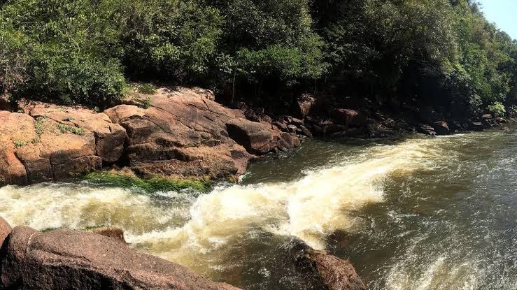 “Vem pro Parque” leva educação ambiental a unidade de conservação em Rondônia