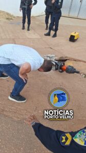 Operação “7 Vidas”: Bombeiros resgatam gato preso em&hellip;