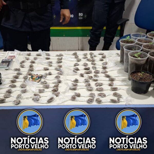 EQUIPE DO SGT RIBEIRO DO 5º BATALHÃO DESCOBRE APARTAMENTO DO “AGRO DO TRÁFICO” E PRENDE MULHER NO ORGULHO DO MADEIRA