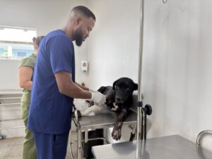 Prefeitura resgata cachorro abandonado e retoma tratamento veterinário