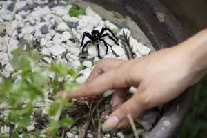 Capacitação sobre manejo de acidentes com animais peçonhentos&hellip;