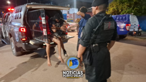 FURTO EM ANDAMENTO TERMINA COM TRIO PRESO NO&hellip;