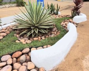 Jardins de chuva reforçam drenagem urbana em Porto&hellip;