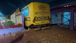 ÔNIBUS ESCOLAR PERDE O FREIO, MOTORISTA PULA DO&hellip;