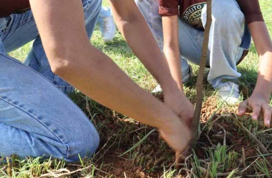 Deputado Edevaldo Neves apoia projeto que une educação ambiental e revitalização de áreas de preservação