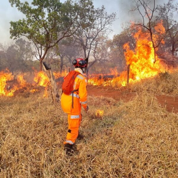 El Niño aumenta risco de queimadas em Porto Velho durante período de estiagem