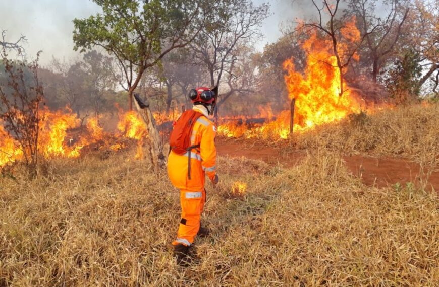 El Niño aumenta risco de queimadas em Porto Velho durante período de estiagem