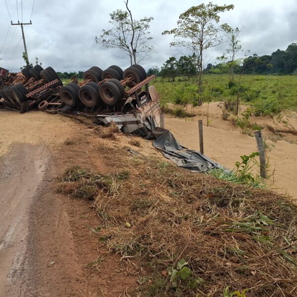Carreta Carregada com Toneladas de Soja Capota e Espalha Carga pela Estrada da Penal