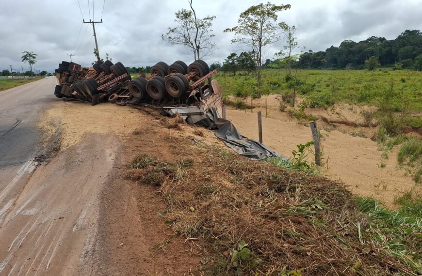 Carreta Carregada com Toneladas de Soja Capota e Espalha Carga pela Estrada da Penal