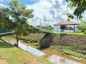 Após ações de limpeza, peixes voltam a aparecer&hellip;