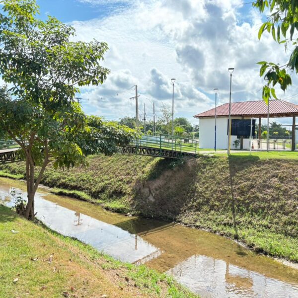 Após ações de limpeza, peixes voltam a aparecer no Igarapé do Botinha em Porto Velho