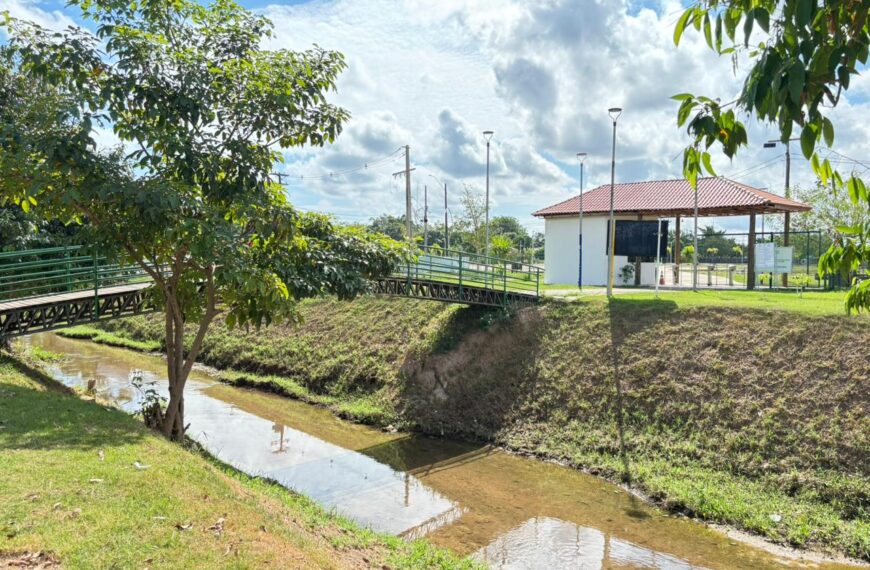 Após ações de limpeza, peixes voltam a aparecer no Igarapé do Botinha em Porto Velho
