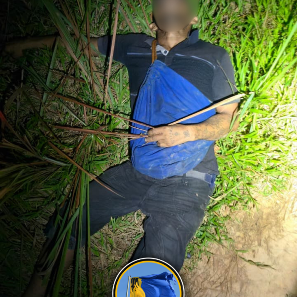 Homem é morto a tiros às margens da BR-319, em Porto Velho